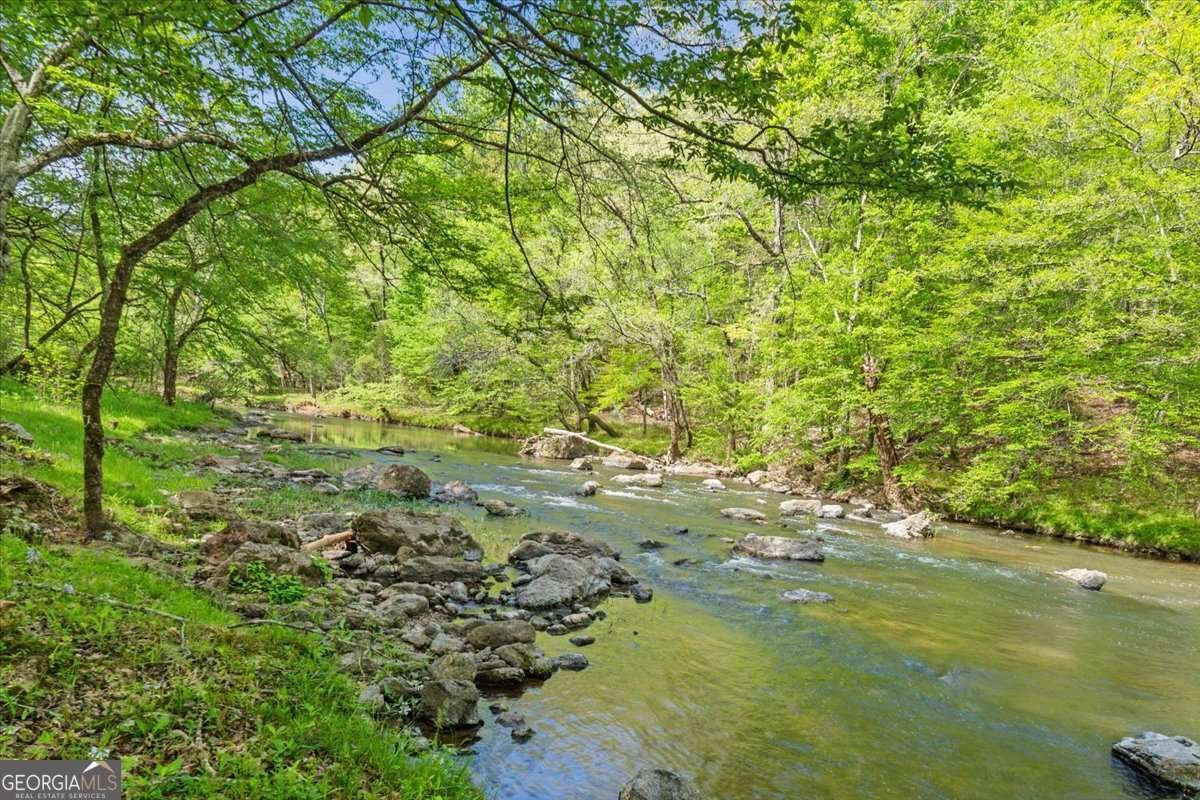 1526 Chubb Road Cave Spring - Photo 6