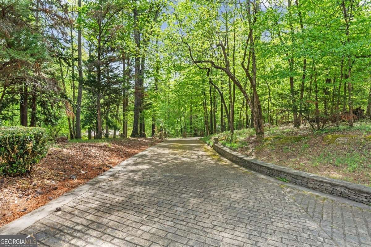 1526 Chubb Road Cave Spring - Photo 81