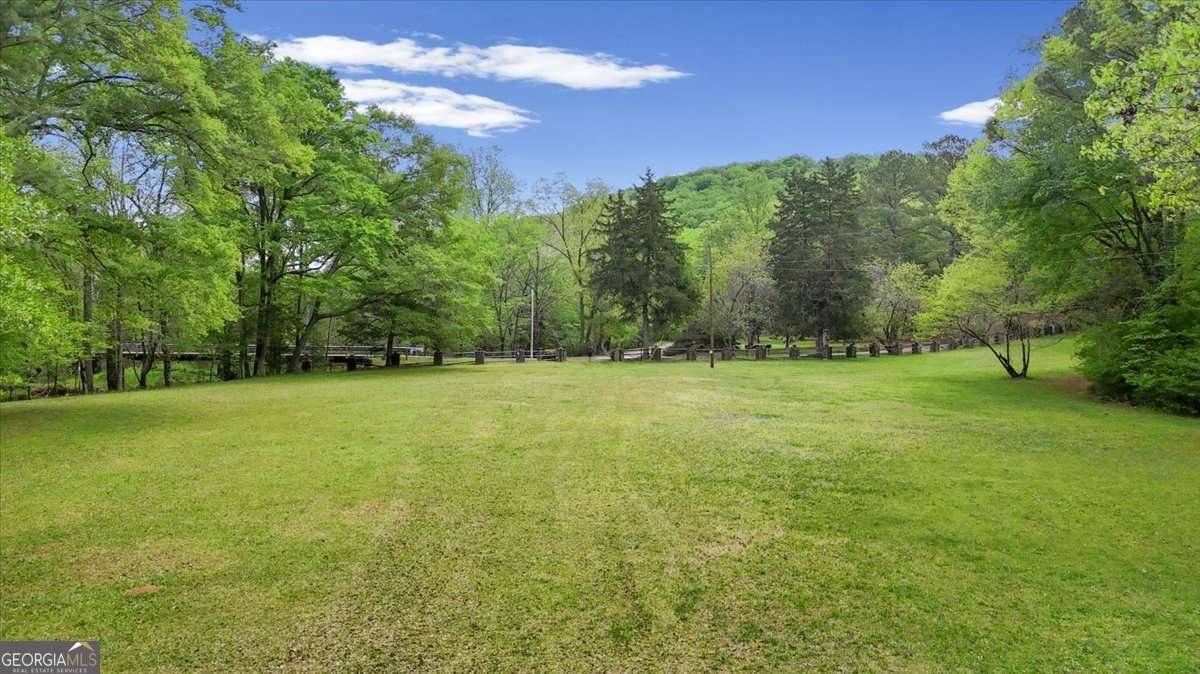 1526 Chubb Road Cave Spring - Photo 87