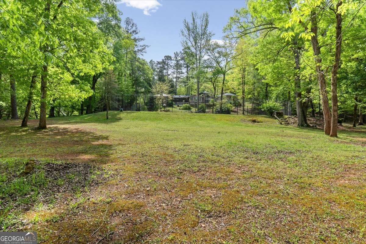 1526 Chubb Road Cave Spring - Photo 89