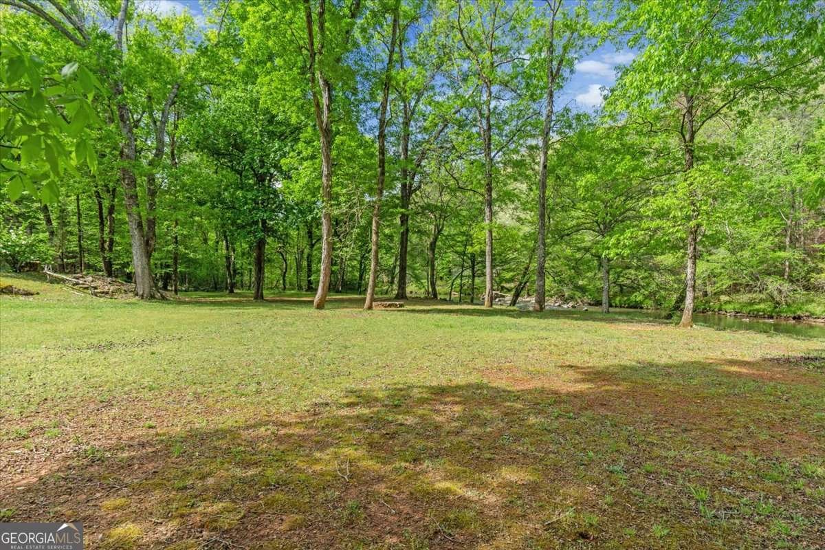 1526 Chubb Road Cave Spring - Photo 90