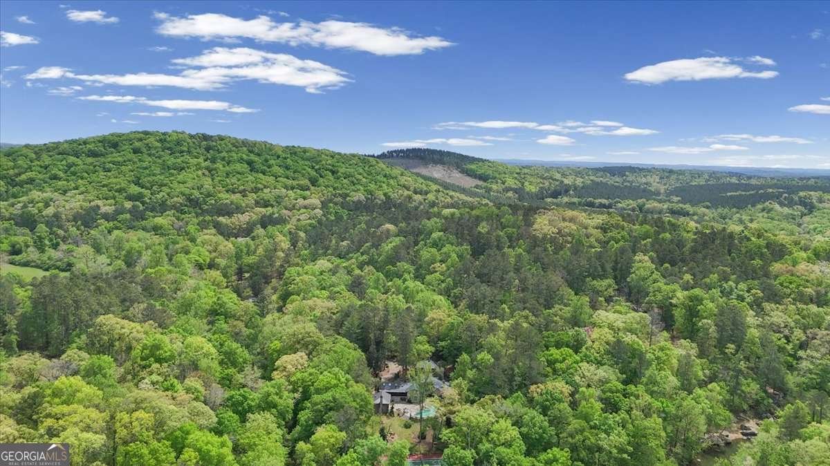 1526 Chubb Road Cave Spring - Photo 91