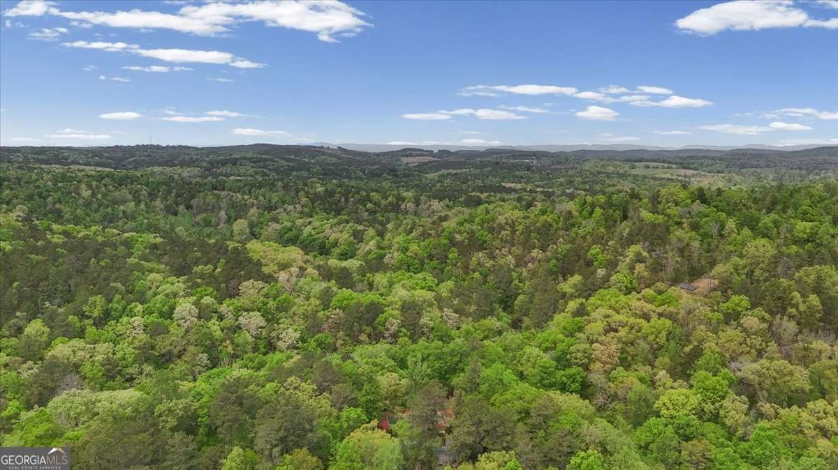 1526 Chubb Road Cave Spring - Photo 92