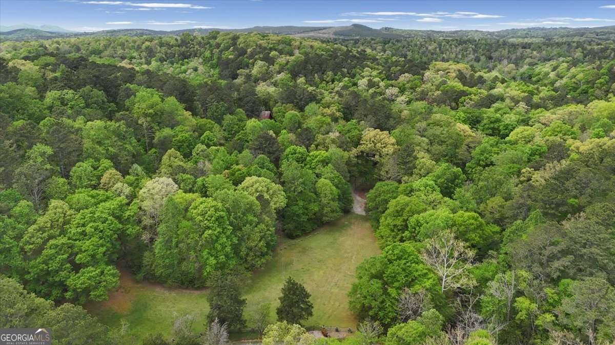 1526 Chubb Road Cave Spring - Photo 93