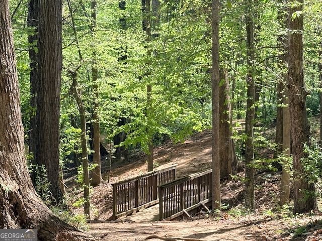 3601 Cape York Trace Alpharetta - Photo 100