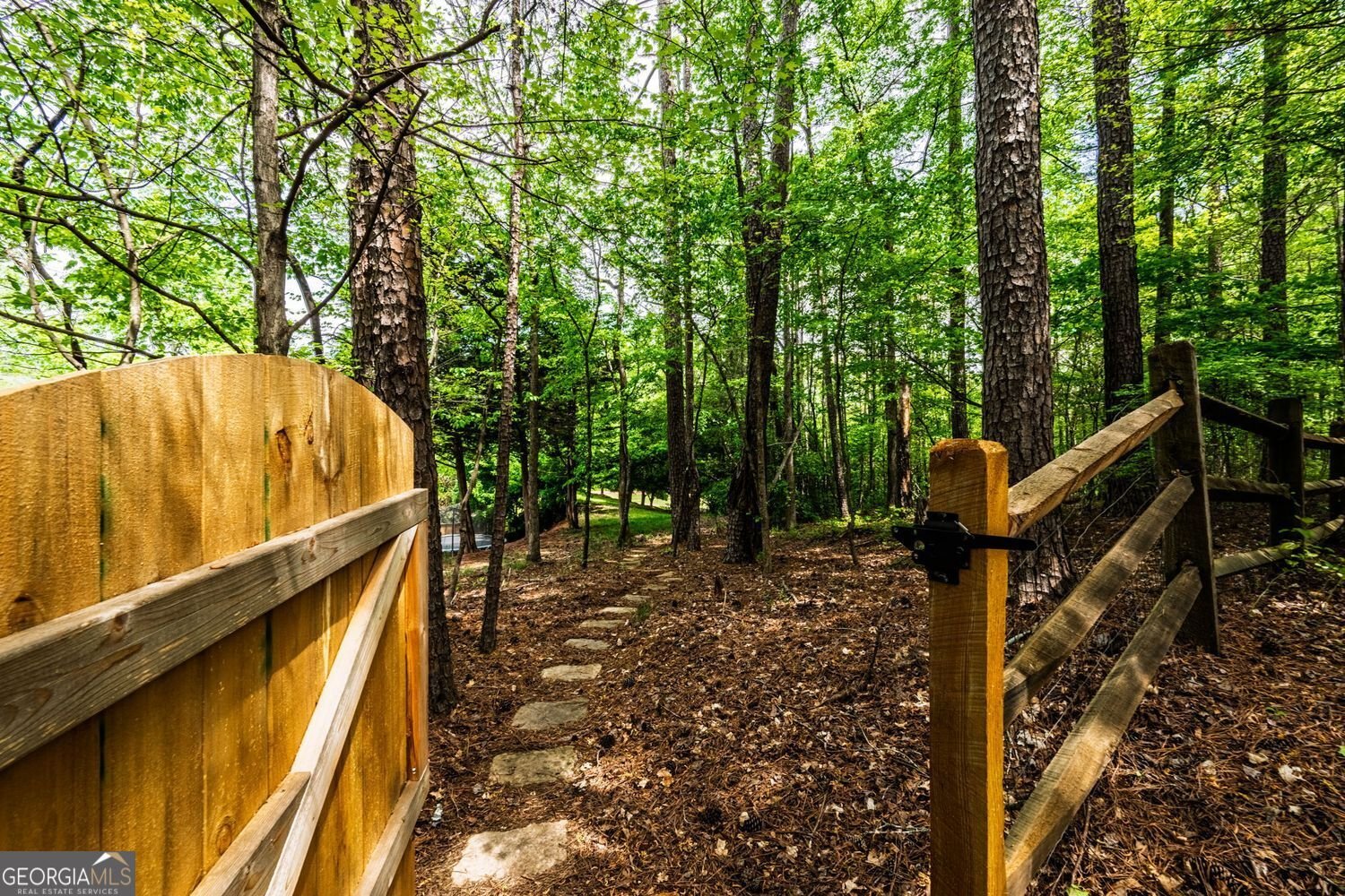 3601 Cape York Trace Alpharetta - Photo 18