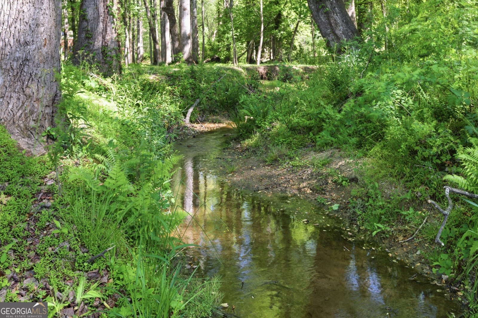 120 Haywood Hills Road Demorest - Photo 45