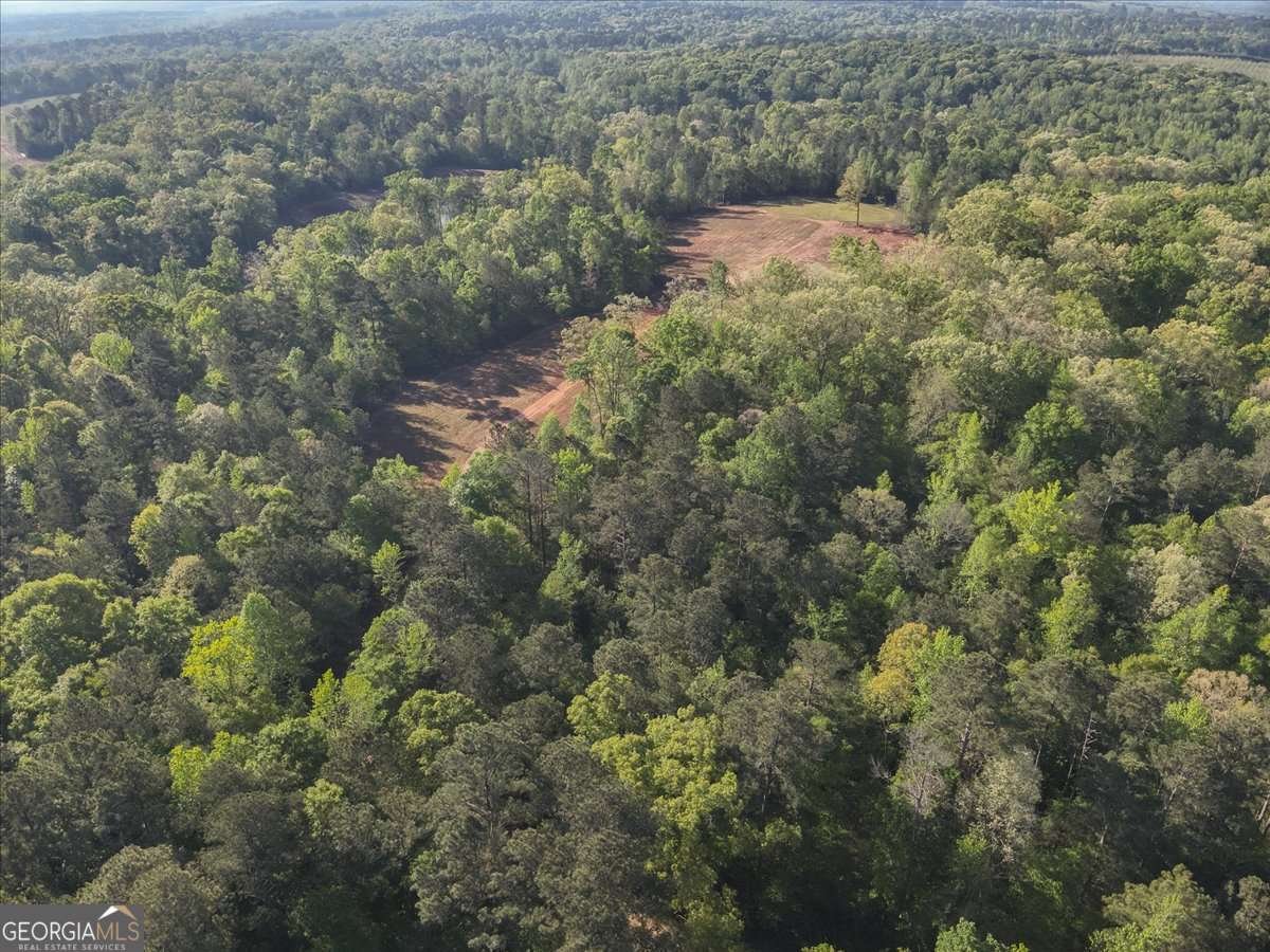 586 Holloway Hollow Monticello - Photo 43