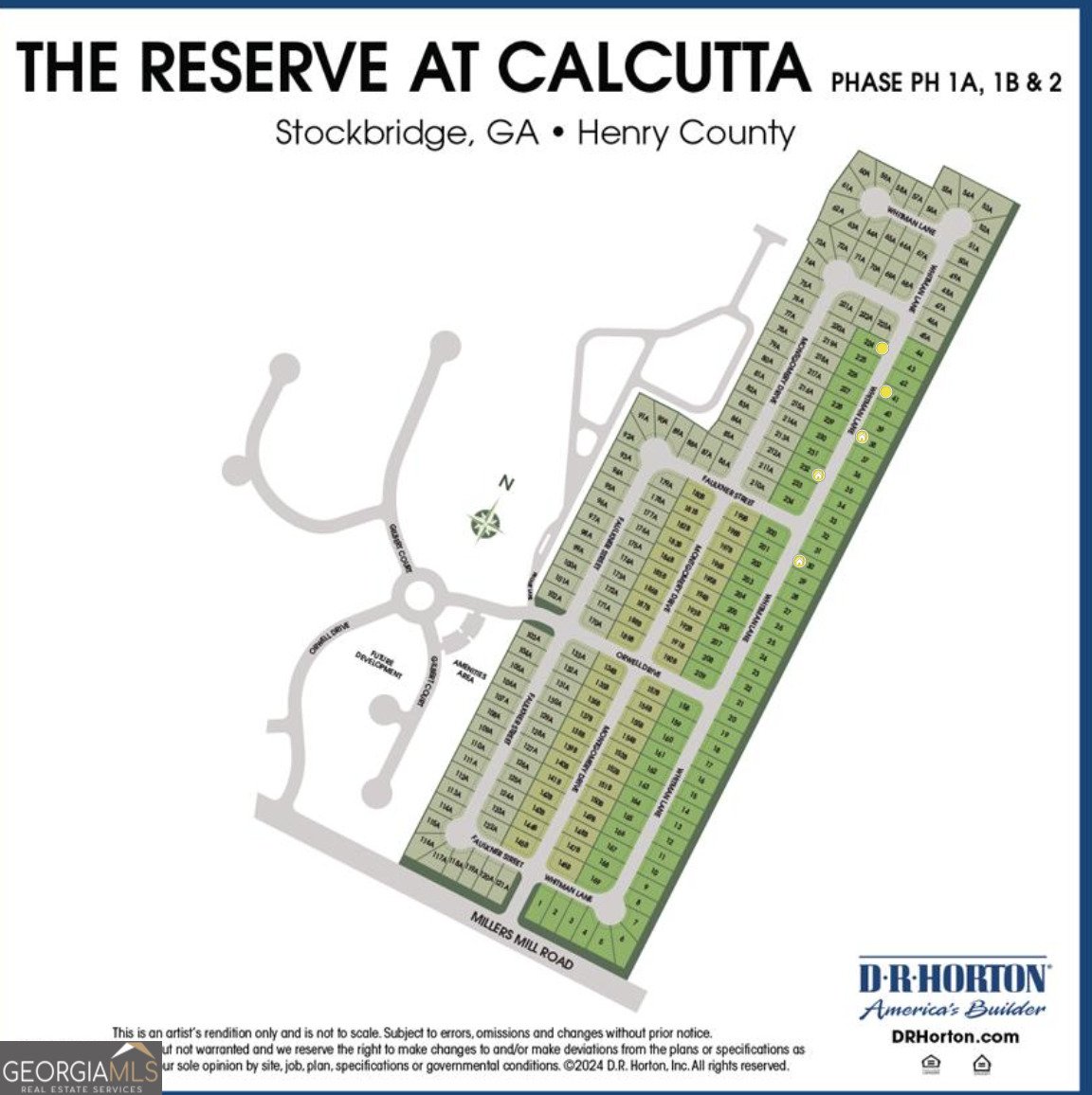 668 Whitman Lane Stockbridge - Photo 41