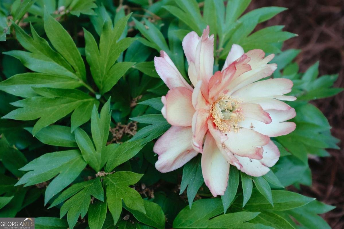 236 Henderson Avenue Athens - Photo 62