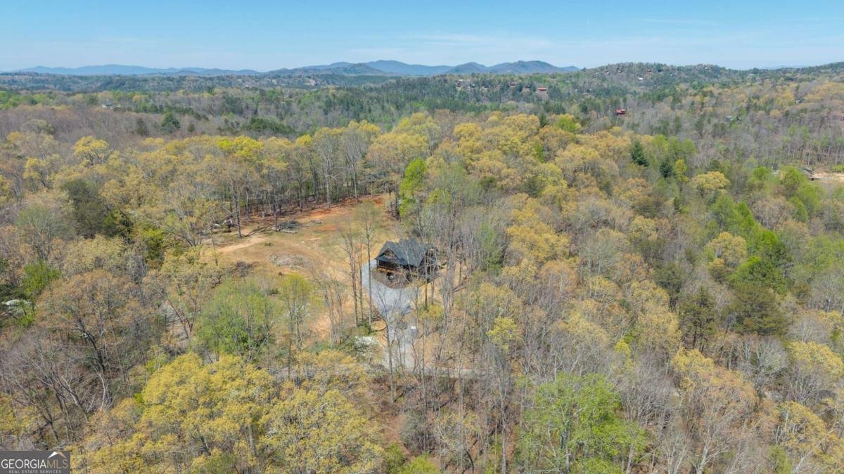 1038 BLUEBIRD Road Mineral Bluff - Photo 10