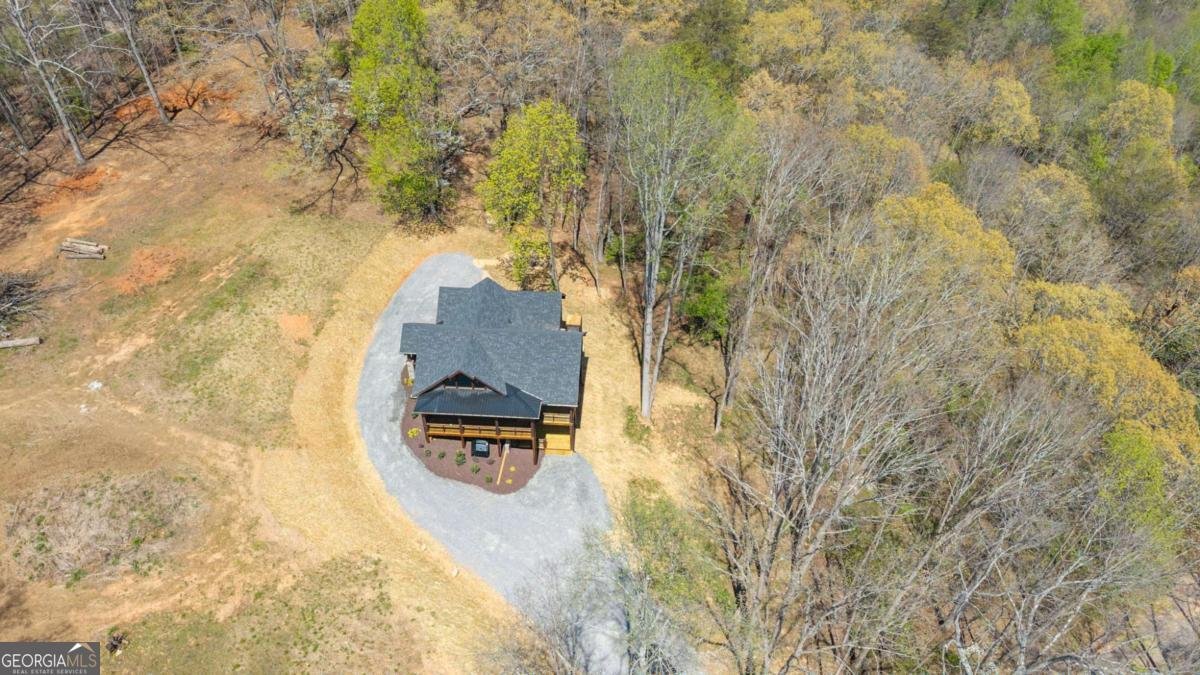 1038 BLUEBIRD Road Mineral Bluff - Photo 11