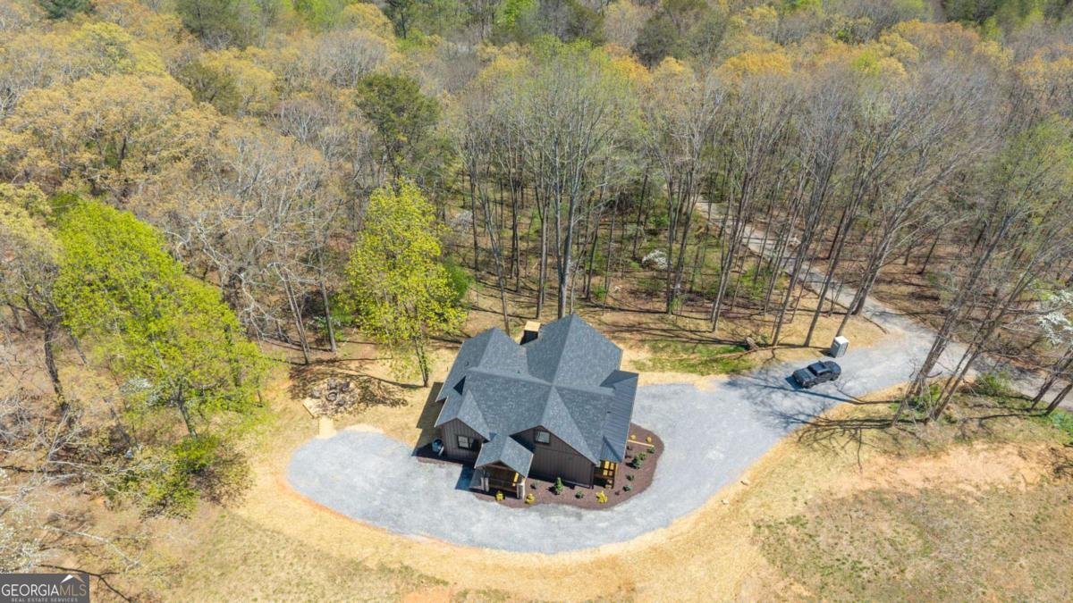 1038 BLUEBIRD Road Mineral Bluff - Photo 12