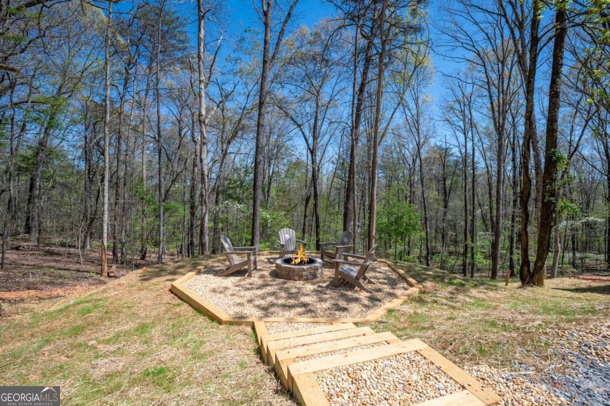 1038 BLUEBIRD Road Mineral Bluff - Photo 13