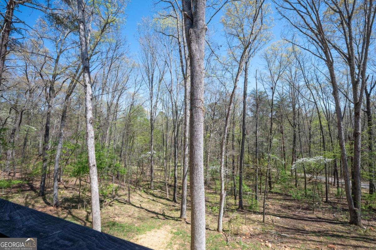1038 BLUEBIRD Road Mineral Bluff - Photo 35