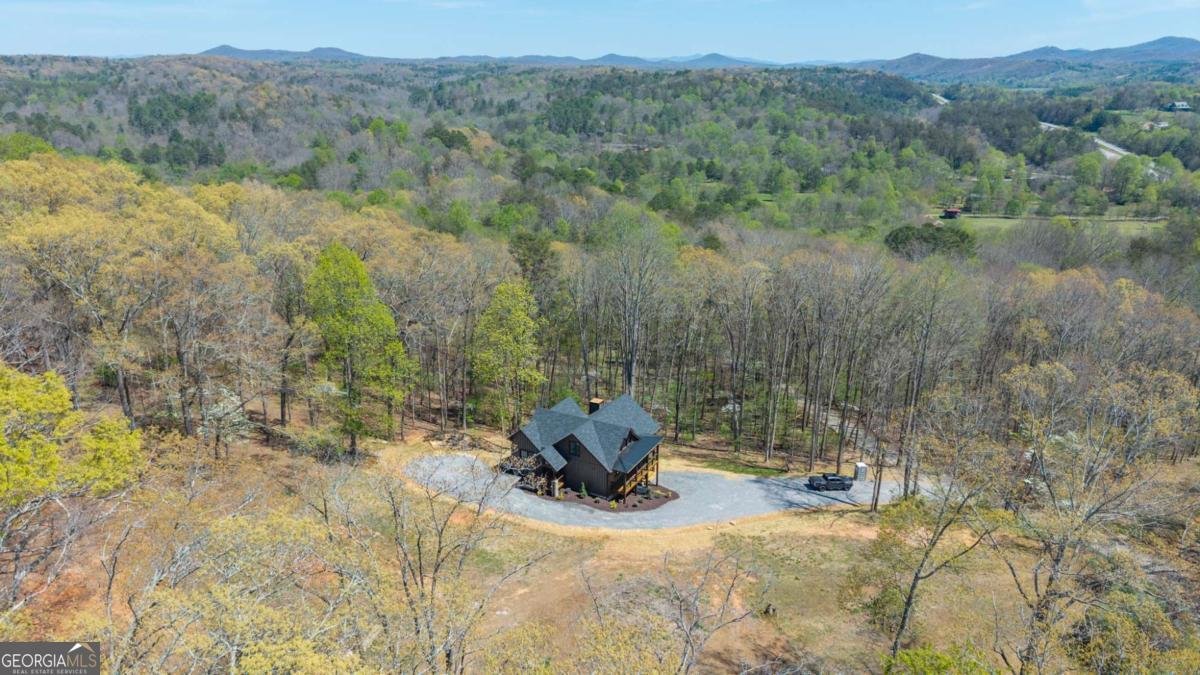 1038 BLUEBIRD Road Mineral Bluff - Photo 7