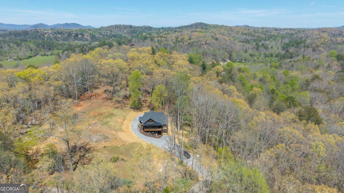 1038 BLUEBIRD Road Mineral Bluff - Photo 8