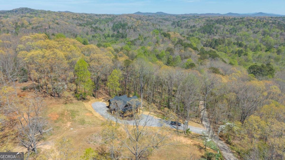 1038 BLUEBIRD Road Mineral Bluff - Photo 9
