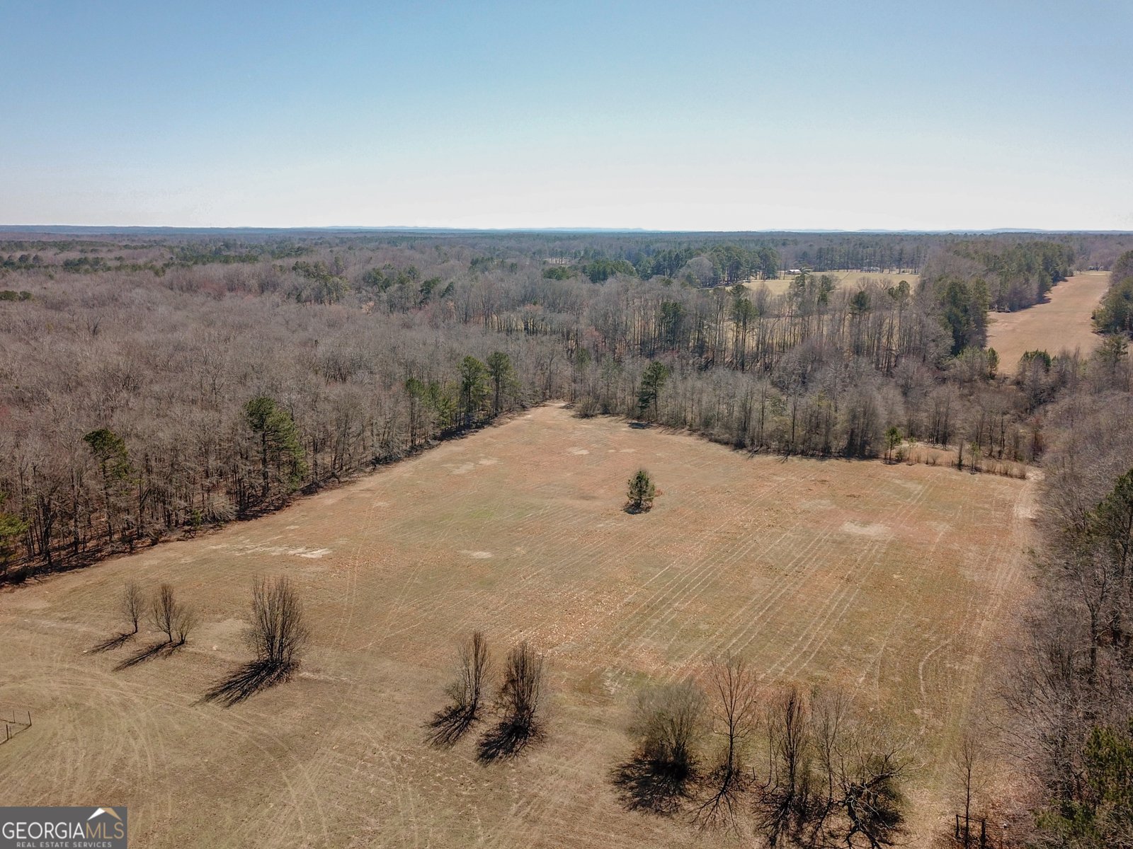 605 Rowe Road Senoia - Photo 70