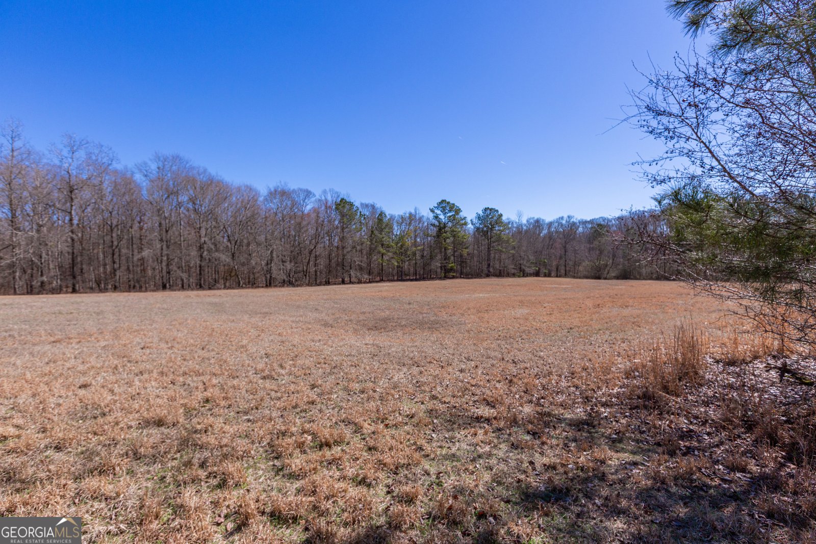 605 Rowe Road Senoia - Photo 74