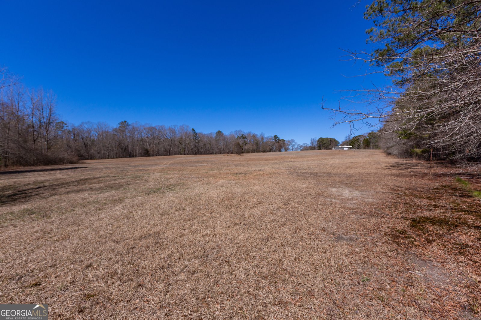 605 Rowe Road Senoia - Photo 75