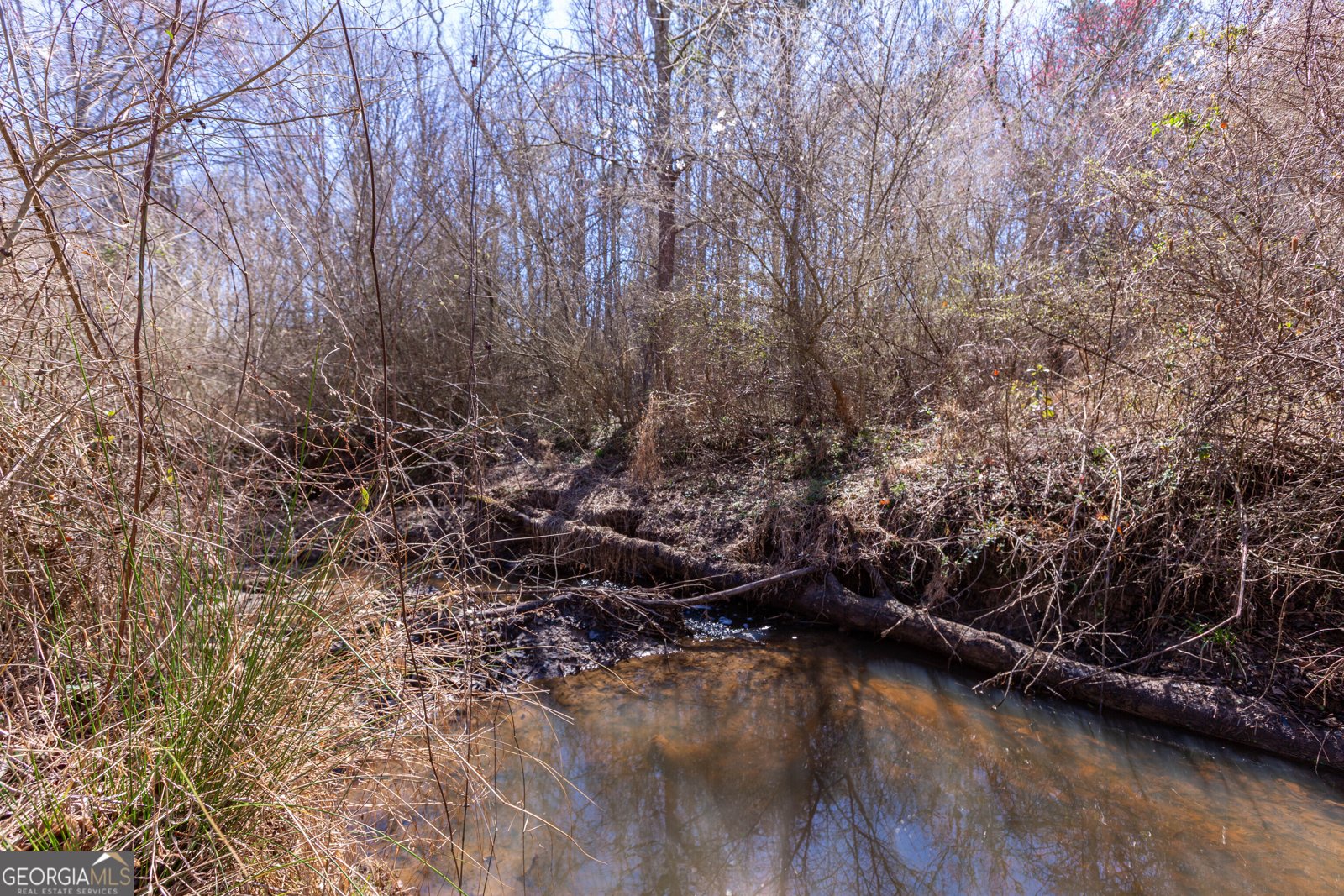 605 Rowe Road Senoia - Photo 77