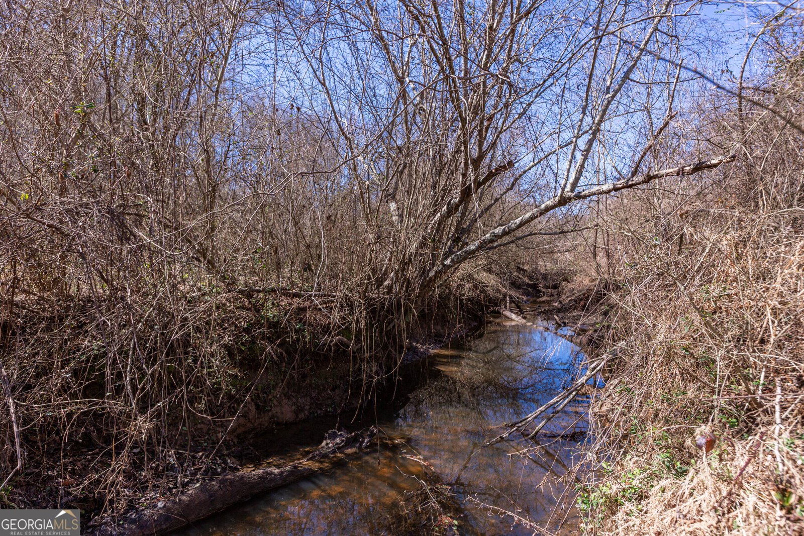 605 Rowe Road Senoia - Photo 78