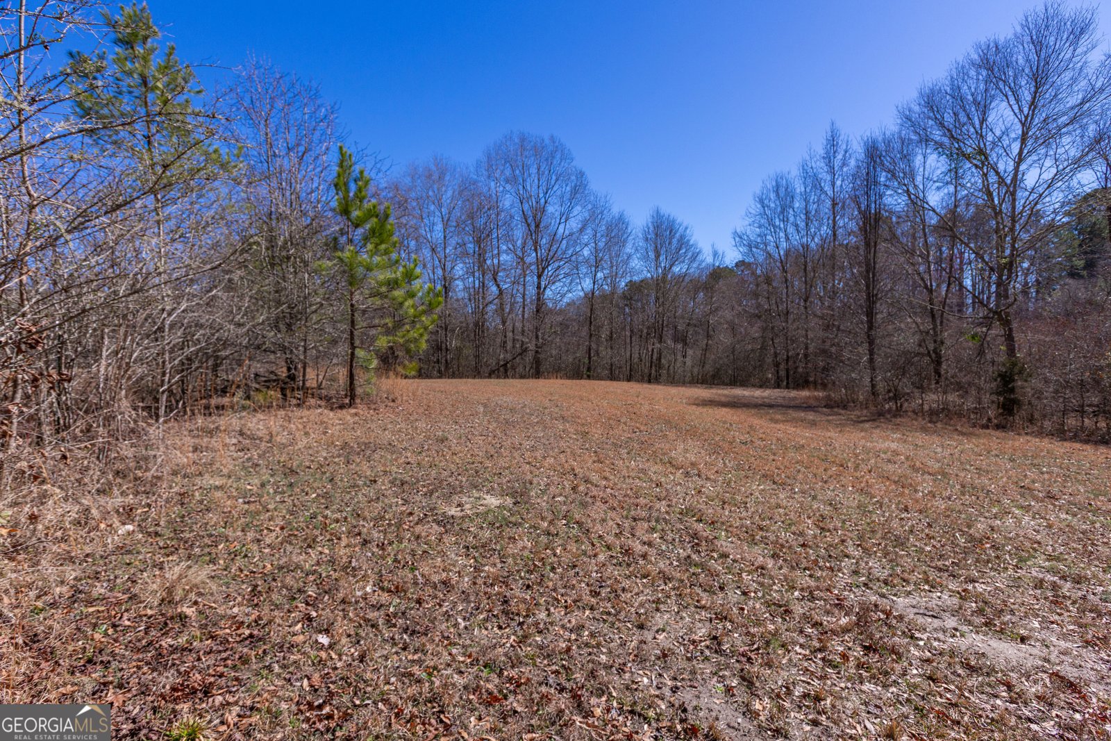 605 Rowe Road Senoia - Photo 80