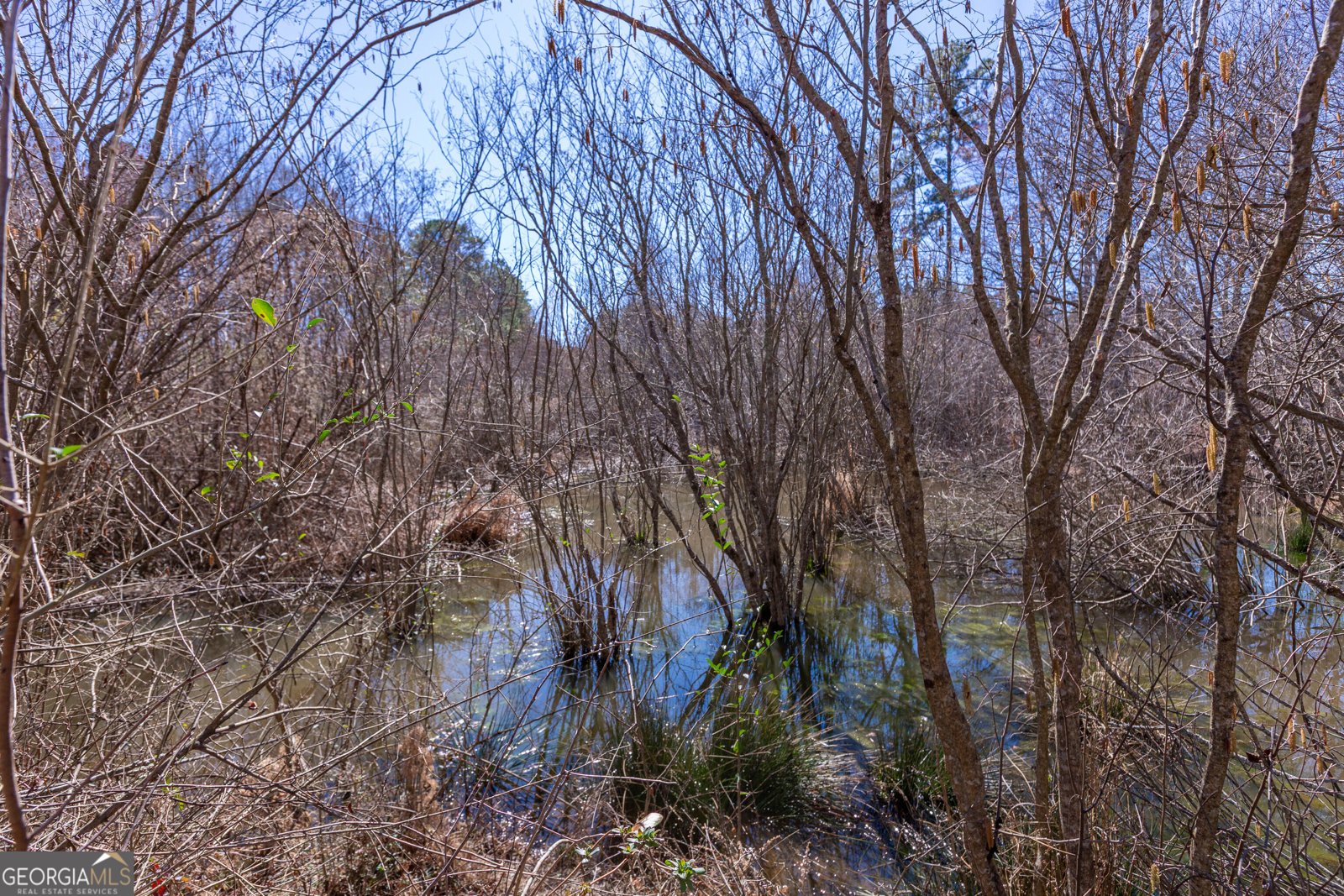 605 Rowe Road Senoia - Photo 81