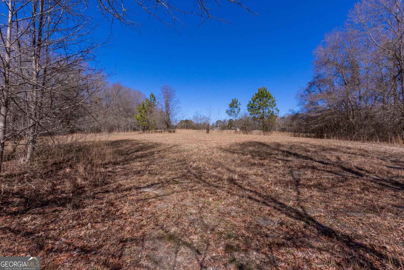 605 Rowe Road Senoia - Photo 82