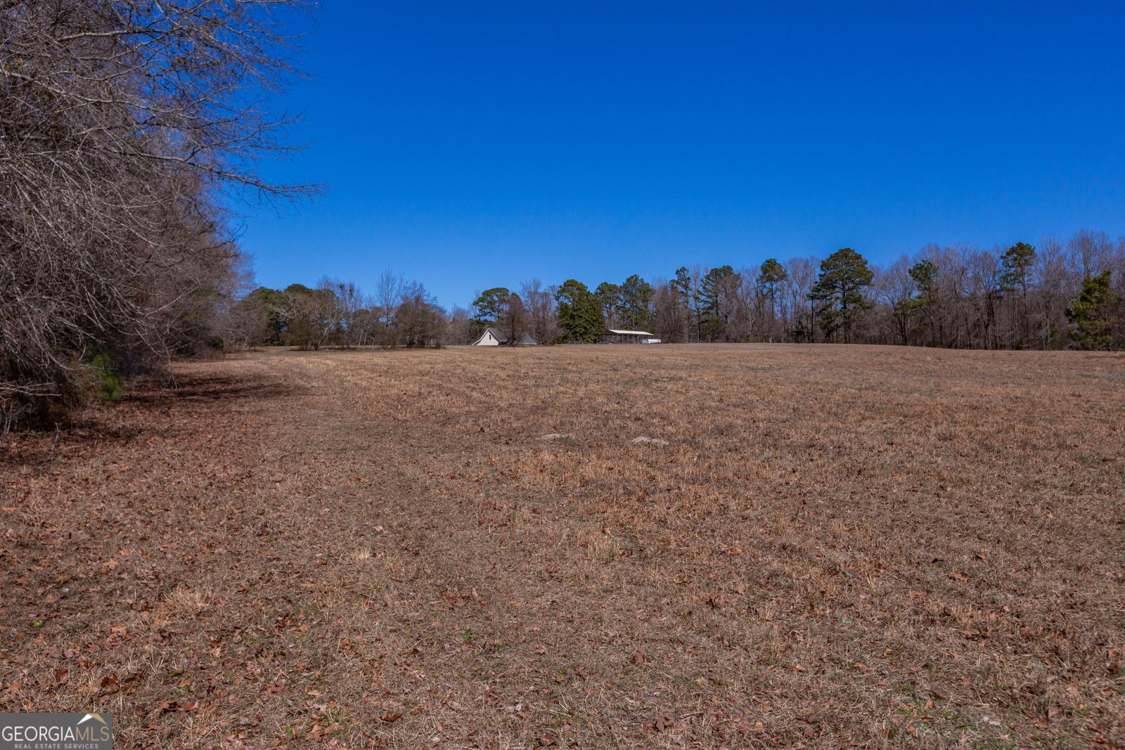 605 Rowe Road Senoia - Photo 83