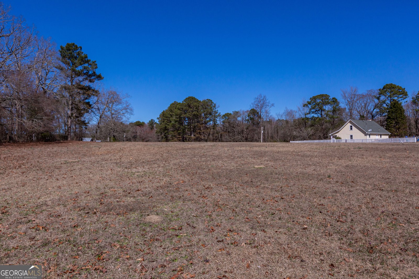 605 Rowe Road Senoia - Photo 85