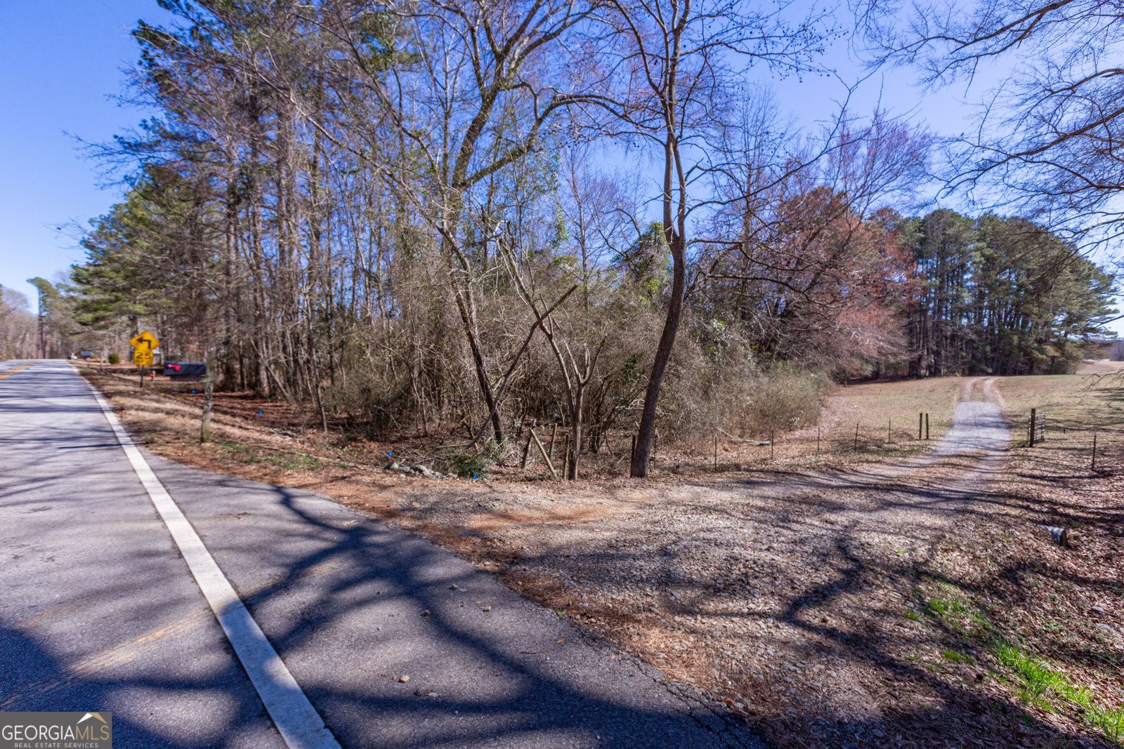 605 Rowe Road Senoia - Photo 87