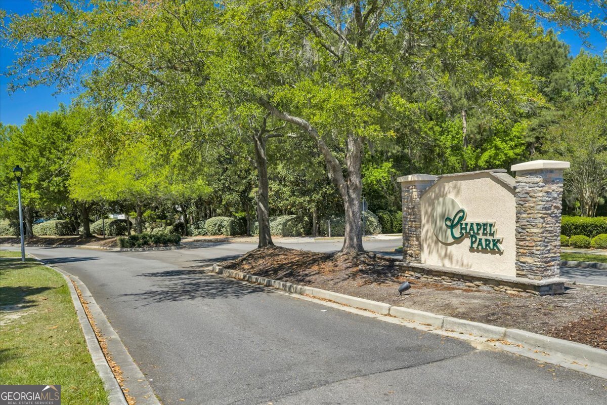 61 Chapel Lake Savannah - Photo 53