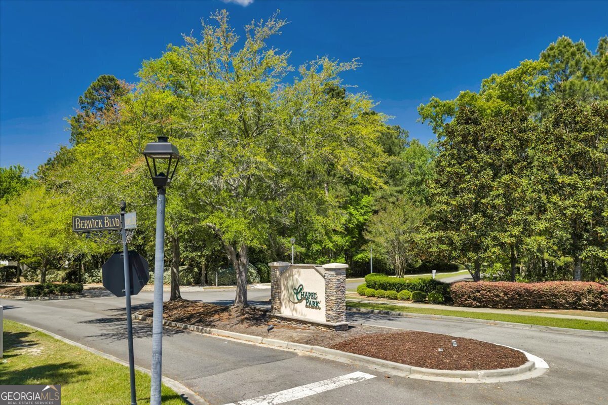 61 Chapel Lake Savannah - Photo 71