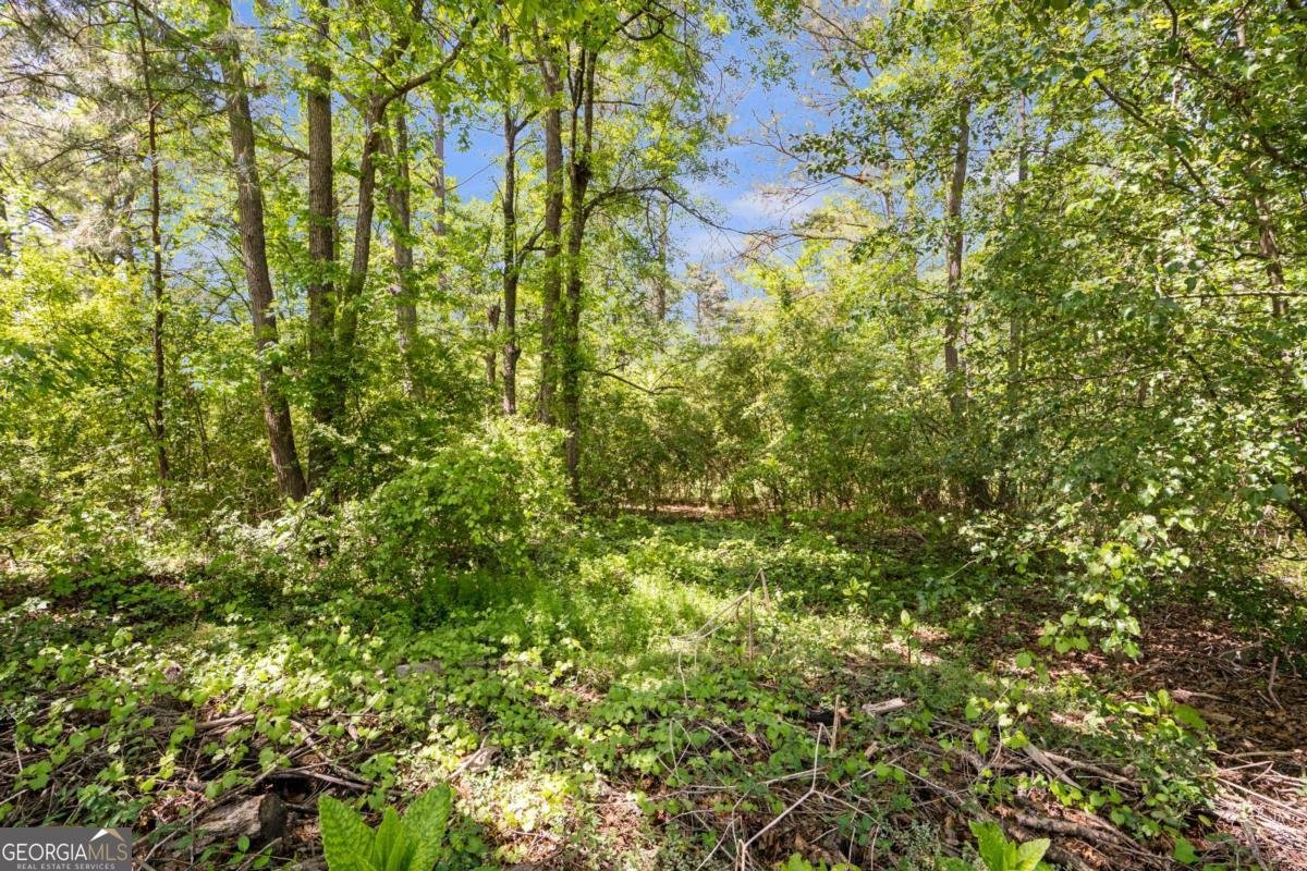 603 Webb Gin House Road Lawrenceville - Photo 11