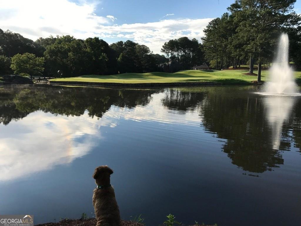 2263 TAYSIDE Crossing Kennesaw - Photo 82