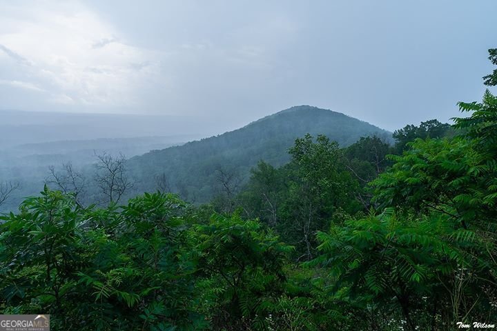 2263 TAYSIDE Crossing Kennesaw - Photo 84