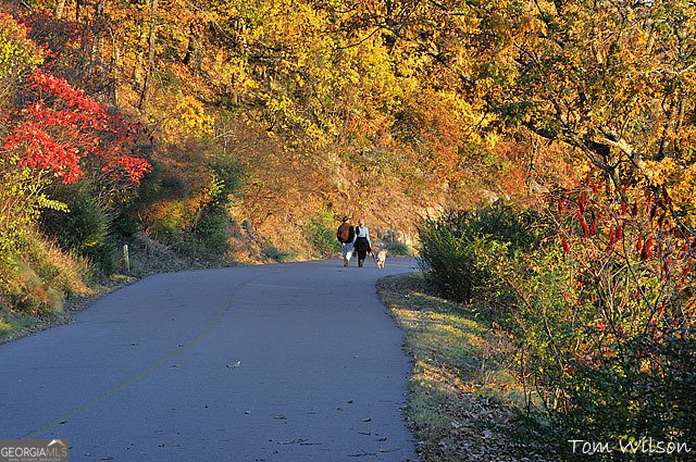 2263 TAYSIDE Crossing Kennesaw - Photo 92