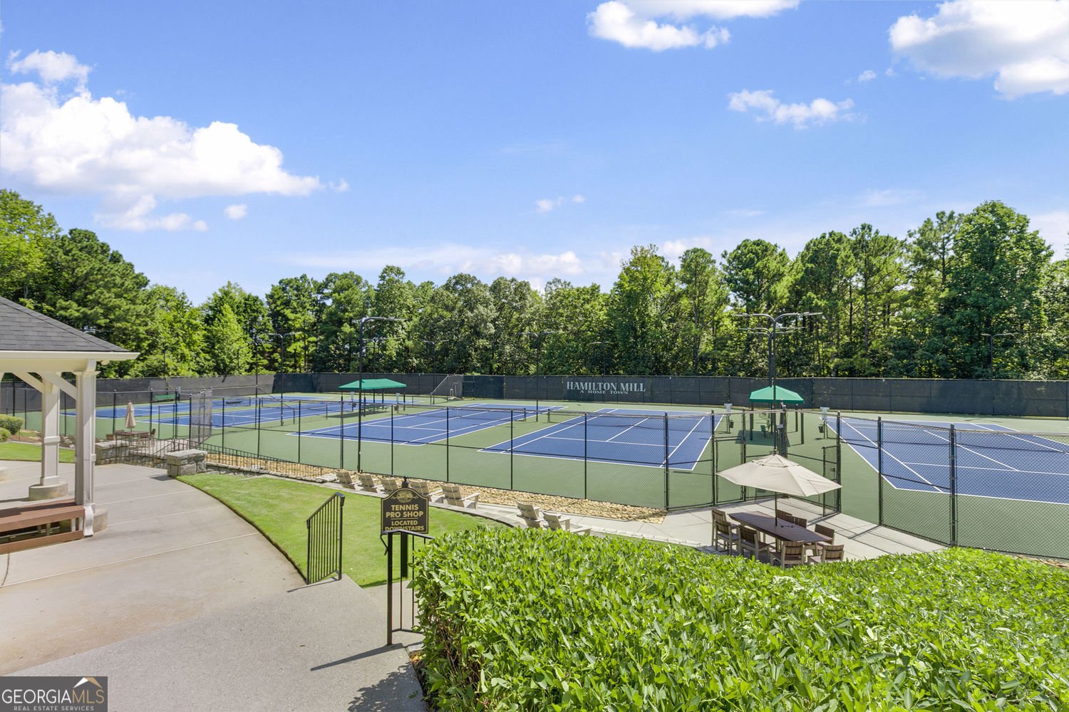 2461 Floral Valley Drive Dacula - Photo 69