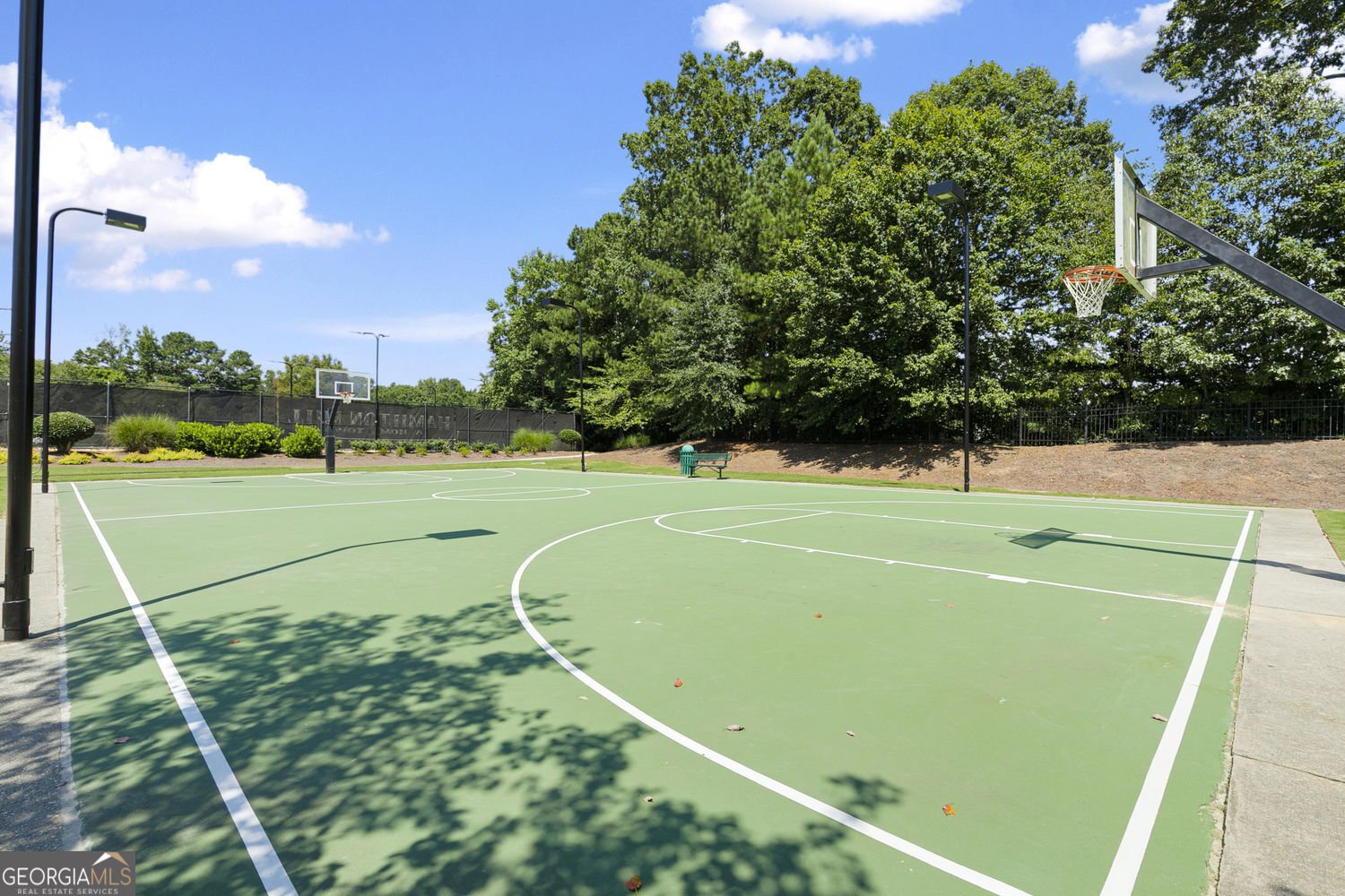 2461 Floral Valley Drive Dacula - Photo 75