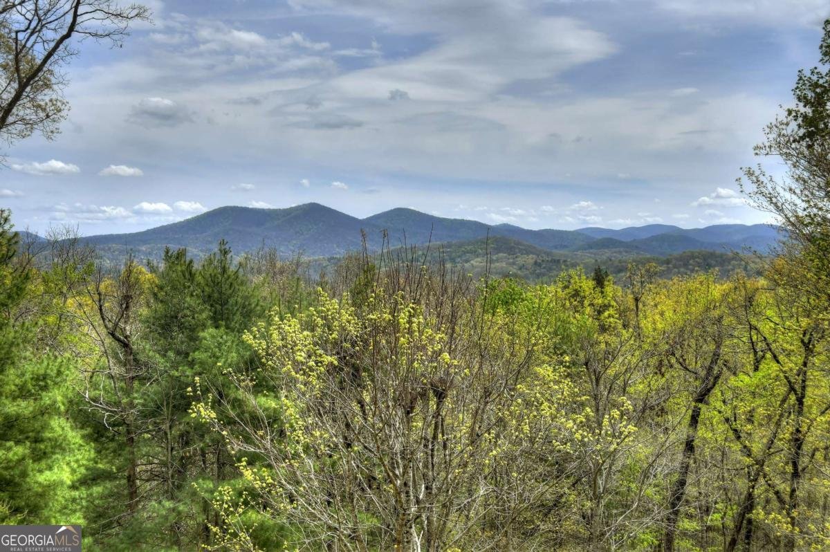 6 Red Holly Road Blue Ridge - Photo 22