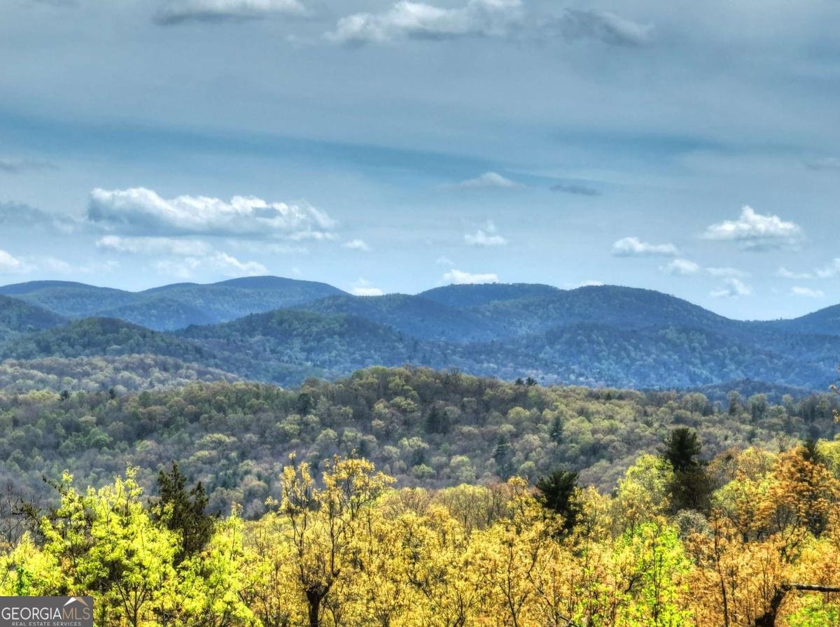 6 Red Holly Road Blue Ridge - Photo 23