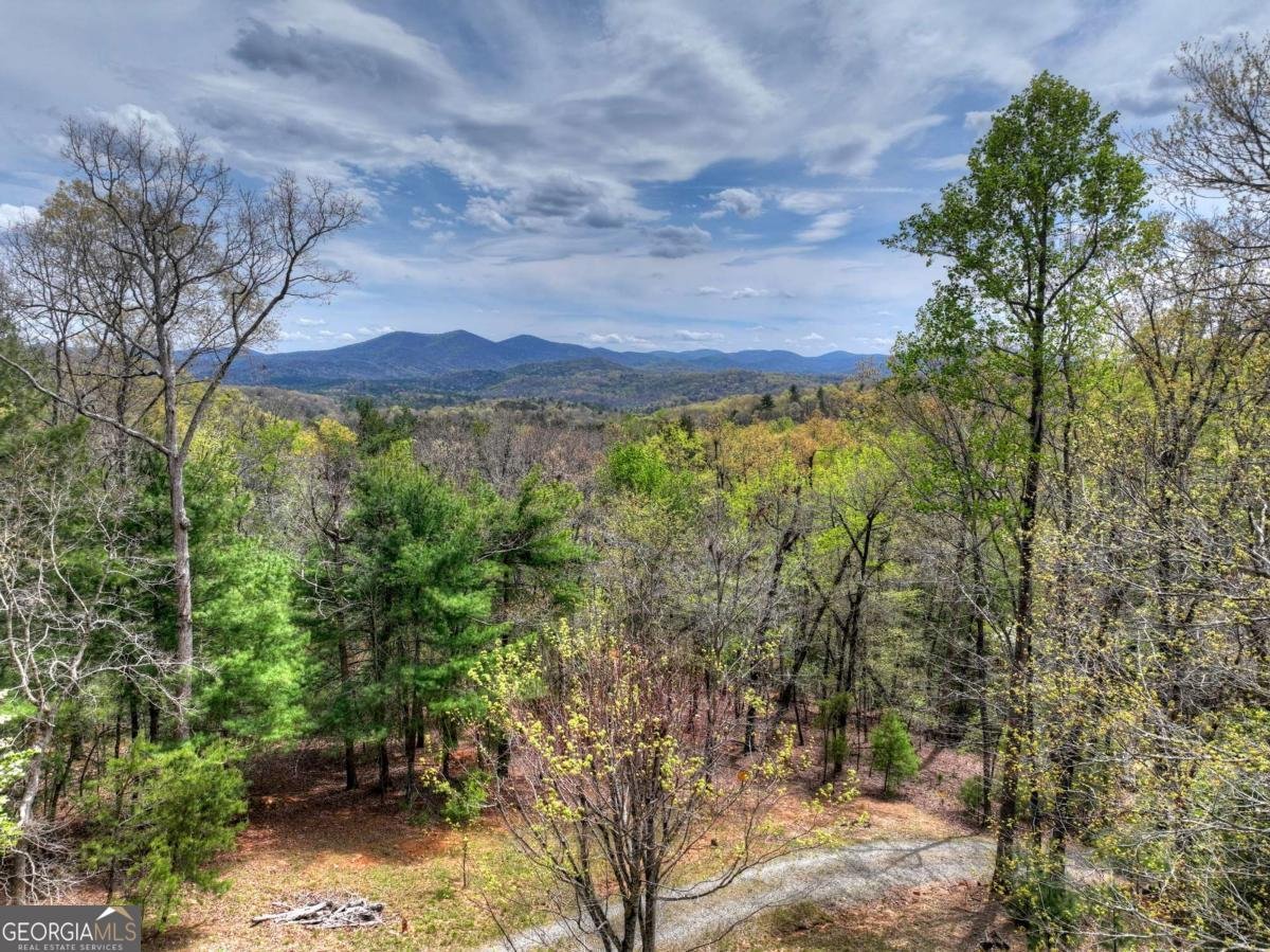 6 Red Holly Road Blue Ridge - Photo 29