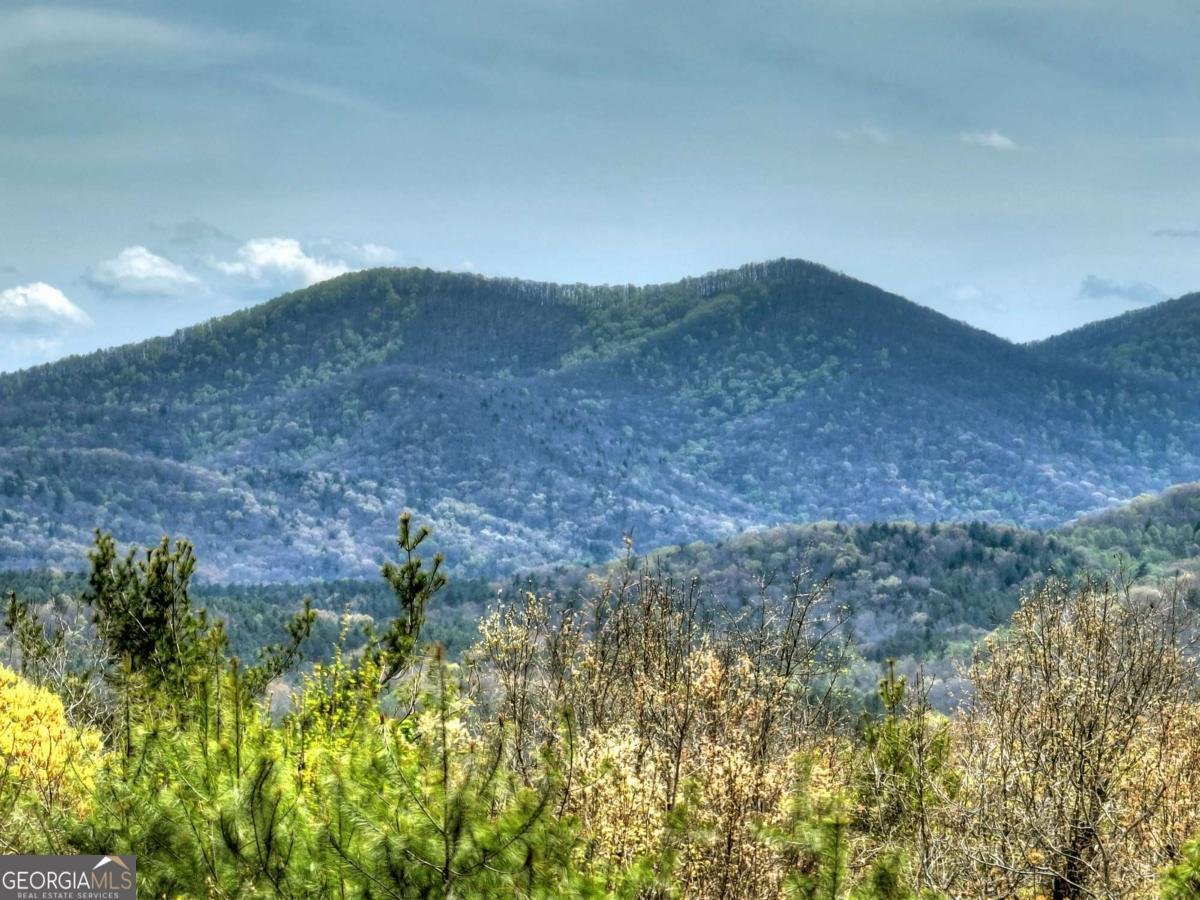 6 Red Holly Road Blue Ridge - Photo 30