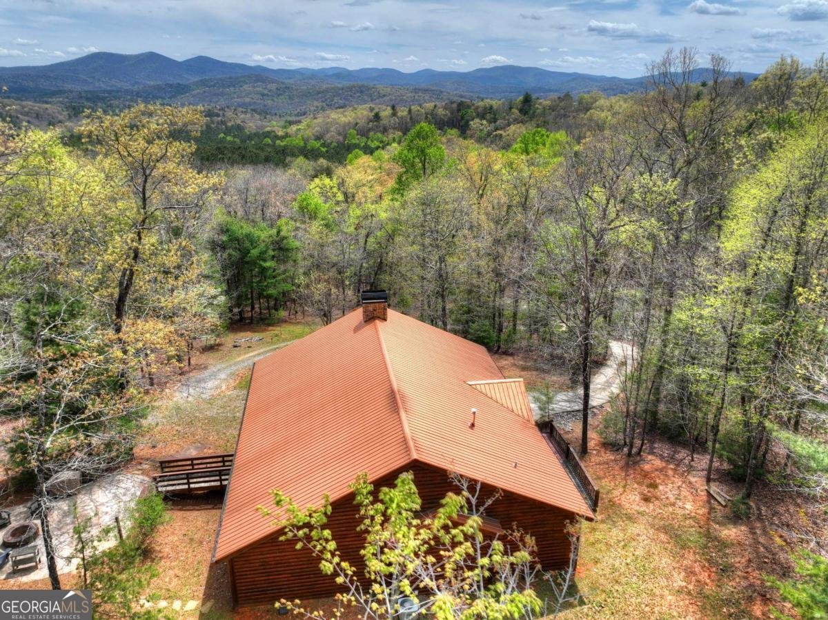 6 Red Holly Road Blue Ridge - Photo 46
