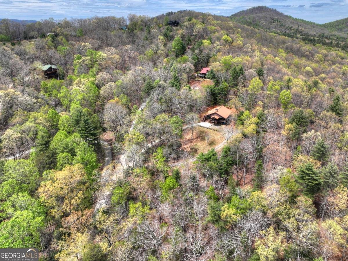 6 Red Holly Road Blue Ridge - Photo 47