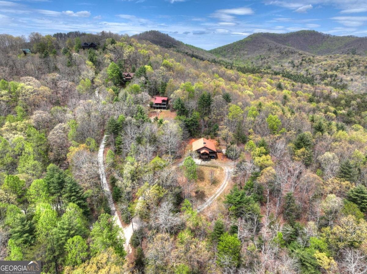 6 Red Holly Road Blue Ridge - Photo 50