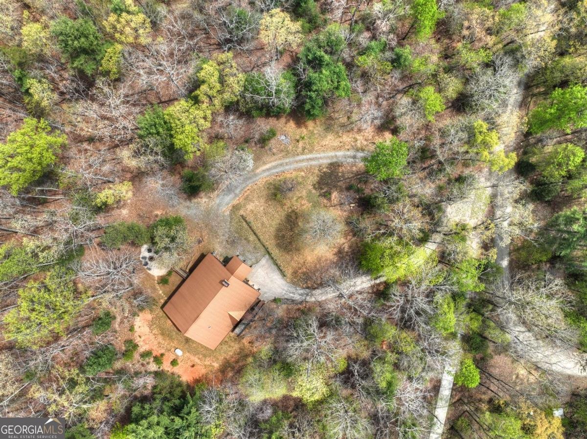 6 Red Holly Road Blue Ridge - Photo 51