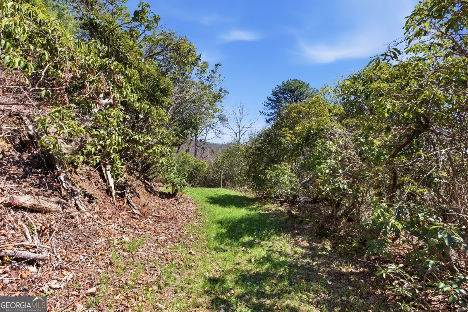 2280 Germany Road Clayton - Photo 34